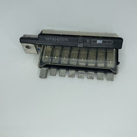 Battery fuse for Hyundai-Kia car 18790-01315