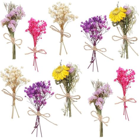10er-Packung 5,5-6 Zoll Mini-Trockenblumensträuße, handgefertigt mit Juteseil - Trockenblumen im Boho-Stil für Hochzeitsfeiern, Tischdekorationen, Bastelarbeiten, Geschenkboxen und (1/5)