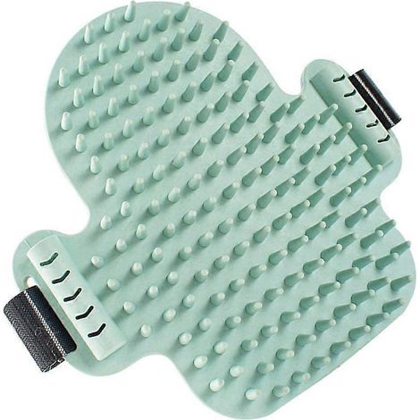 Brosse d'auto-massage cactus pour chat d'intérieur, jouet interactif pour chat, pot de menthe à chat