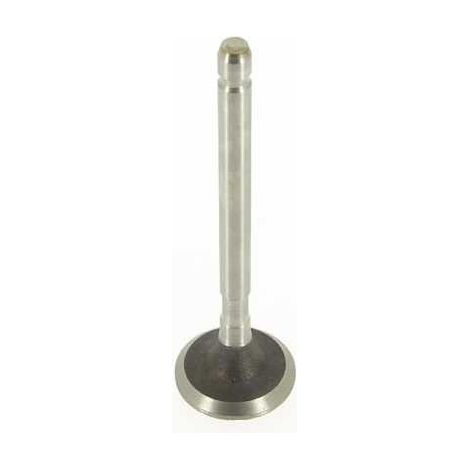 Soupape Adm. pour moteur Briggs et Stratton 390419 (1/2)