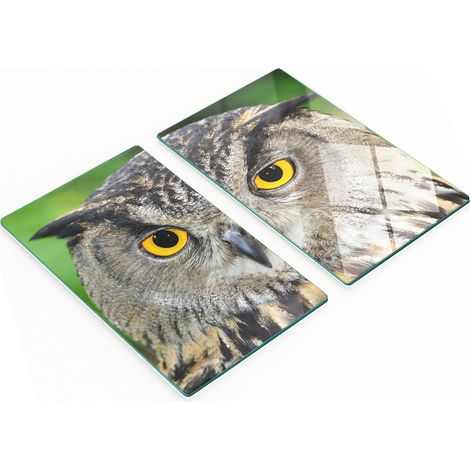 Planche décorative multifonctionnelle pour la cuisine, en verre trempé, motif hibou, 2 x 30 x 52 cm (1/5)