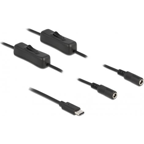Delock Cable USB Type-Câ¢ macho a 2 x DC 5,5 x 2,1 mm hembra con interruptor 1 m