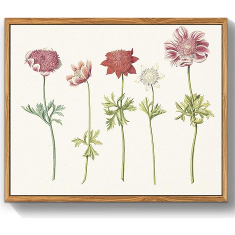 Vintage Botanische Leinwandbilder mit Holzrahmen 30x40 cm Wohnzimmer Badezimmer (1/5)