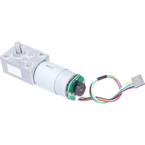 Moteur Réducteur 24V à Engrenage Vis sans Fin, 27 RPM avec Encodeur et Système Autoblocage, Couple Élevé