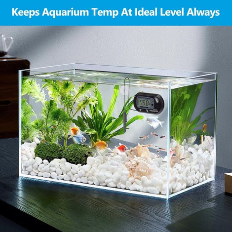 Aquarium numérique, thermomètre Aquarium, thermomètre d'eau avec grand écran LCD, thermomètre reptile pour aquarium Aquarium récipient en verre (1/5)
