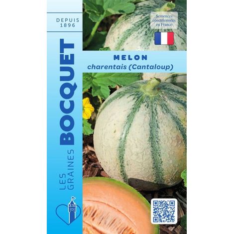 Melon cantaloup charentais 3g – Environ 105 graines non hybrides – Semis de mars à mai – Pour sols riches et en plein soleil – Graines Bocquet