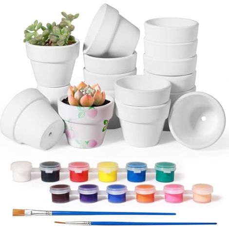 16 pots en terre cuite blancs mini 4 x 5 cm, petits pots avec peintures et pinceau, pots en argile blanche avec trous de drainage pour succulentes, cactus, herbes, DIY, intérieur et extérieur
