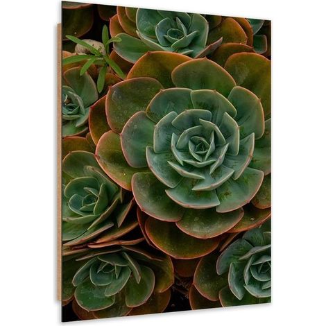 Quadro deco panel, Fiore verde succulento - 60x90 (1/5)
