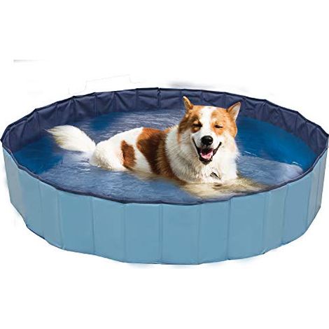 Piscina gioco modello Explorer per cani taglia piccola e media diametro 120 x altezza 30 cm (1/4)