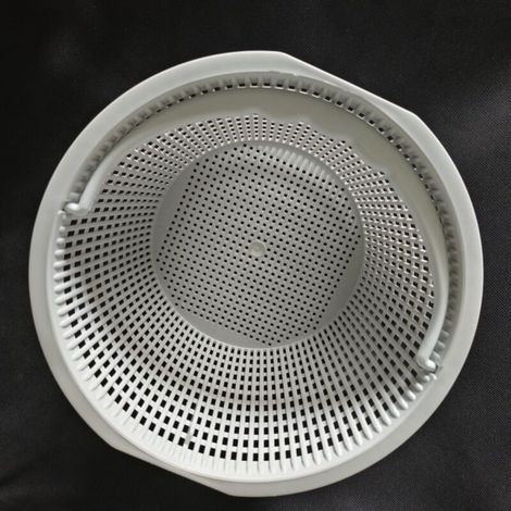 Panier filtrant universel pour écumeur de grande taille 2" Hayward 05280R0200 (1/5)