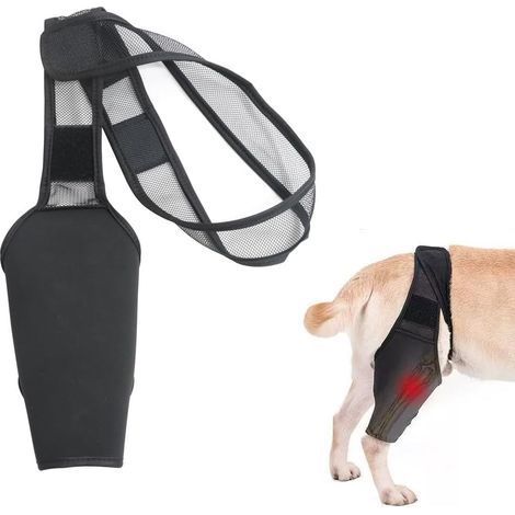 Collerettes pour chiens,Protection de cuisse pour chien, attelle articulaire, orthèse de patte, attelle de rééducation, sangle de fixation de patte, taille XL (1/5)