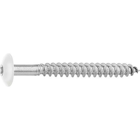 Vis pour panneaux stratifiés A4, 5,5 x 55, RAL 9010 blanc pur, UE : 100