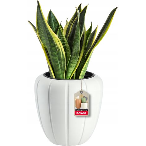 KADAX Blumentopf, Pflanzkübel aus Kunststoff, 40 cm, Weiß (1/5)