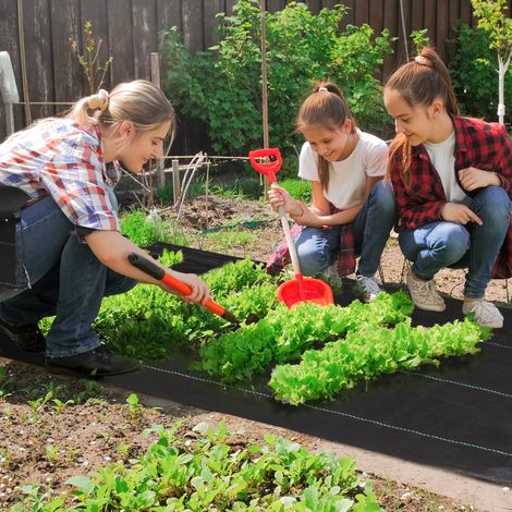 Bâche de paillis drainante et respirante 2 x 25 m pour potagers, serres et jardins, noire (1/5)
