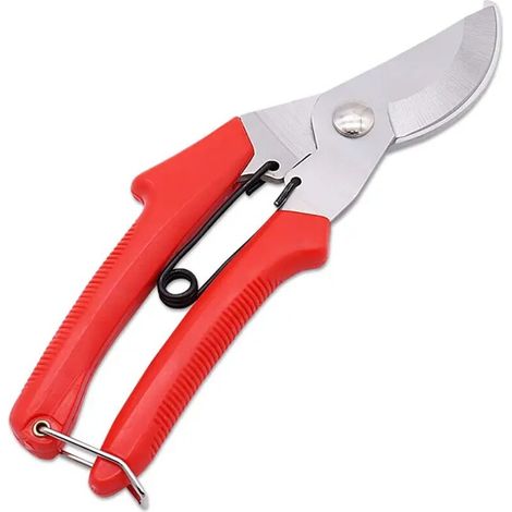 Sécateur - Bec Épais - Coupe Jusqu À 15 Mm - Pour Taille De Branches - 1 Pièce (1/5)