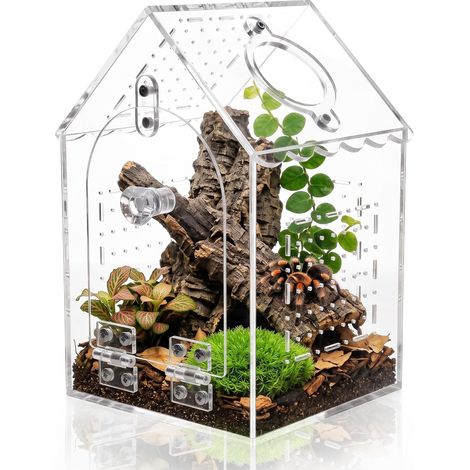 Terrarium Phasme avec Ouverture D’Alimentation, 360° Maisonnette Vivarium Terrariums avec Ventilation Croisée, 26x19x19CM,Etanche Terrarium Acrylique pour Araignée, Escargot, Lézard, Rainette,Gecko (1/5)