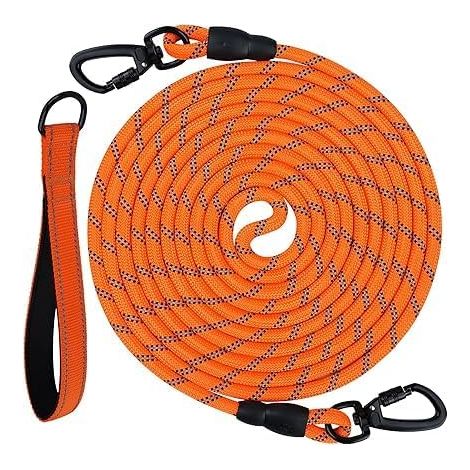 Longe pour Chien, Laisse de Dressage, Orange (1/5)