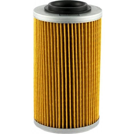 Filtre à huile Champion pour Quad John Deere 650 Trail Buck 2005 (1/2)