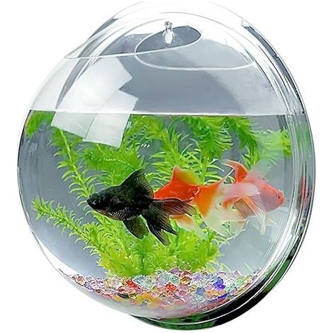 Clear Acrylic Jar, Wall Mount, Home Decor (1/5)