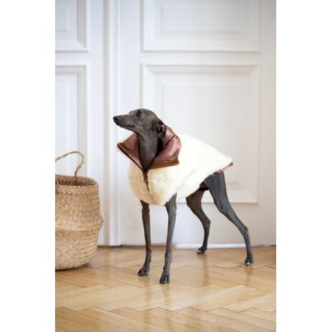 Chaleco de lana para perro - Blanco 1 (1/5)