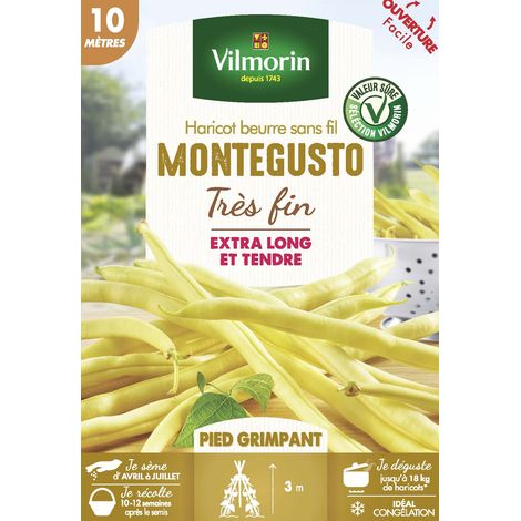 Haricot Grimpant Beurre Monte Gusto - 10 m Vilmorin (1/3)