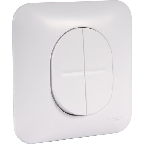 Schneider Electric – Interrupteur double va-et-vient ovalis 10A blanc RAL 9003 – Fixation par vis – Pour installation électrique professionnelle