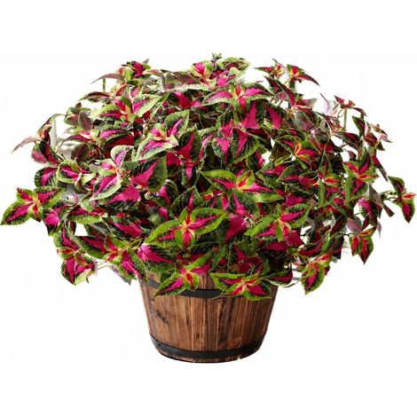 Plantes artificielles de coléus rouges, lot de 5, en soie résistante aux UV, pour jardin ou terrasse. Décoration pour pots suspendus. (1/5)