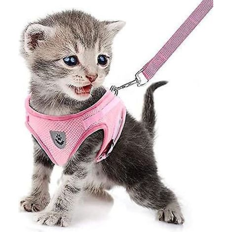 collier Et Laisse Pour Chats, Collier Antiperte Pour Chiots, Gilet Rflchissant Ajustable En Maille Douce Et Respirante Pour Petits Chats Et Chiens