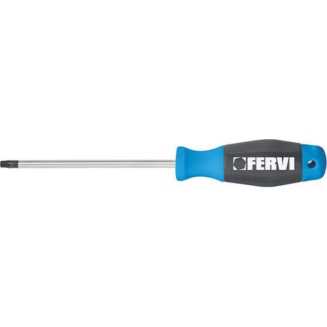 Fervi Giravite Cromato Torx T10 x 75 mm - Lavori di Precisione