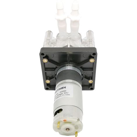 Ortviai Pompe Périphérique 24 V Modèle G3000 Débit Élevé 3000 ml/min avec Tube Alimentaire PHARMED BPT