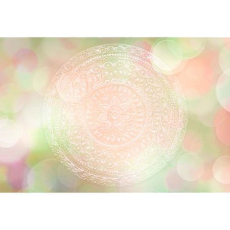 Papier peint panoramique rose & vert design Tapisserie panoramique élégante motif rosace Papiers peints panoramique original pour chambre (1/3)