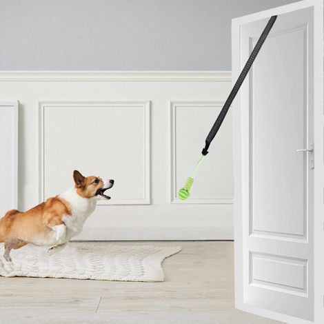 Jouets à corde pour chiens, Jouet à corde interactif, polyvalent et pratique, pour un usage quotidien (1/2)