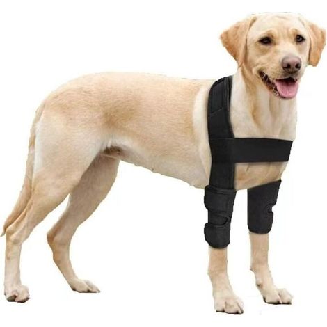 Supporto per gomito per cani per spalle, zampe anteriori, lussazioni, piaghe da decubito, lesioni, artrite, perdita di stabilità (L) (1/3)