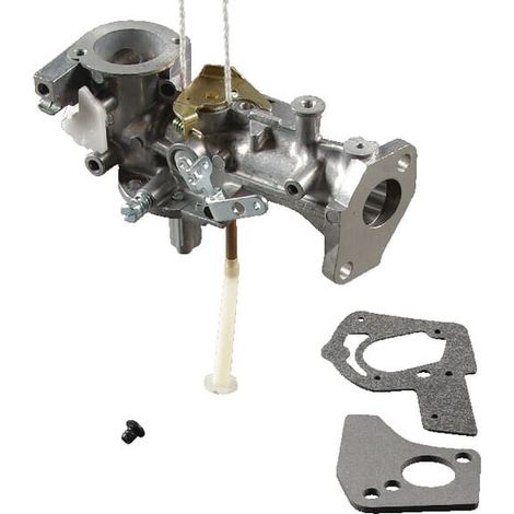 Carburatore BRIGGS ET STRATTON 495459