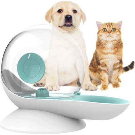 Distributeur d'eau pour Chat Chien, Abreuvoir à gravité pour Chat, Forme d'escargot, Fontaine d'eau pour Chat Automatique, (Vert) (1/5)