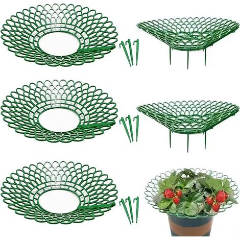 (B) 5 supports verts pour fraisiers et pastèques, protège-plantes à 3 pieds, accessoires de jardinage faciles à monter (1/4)
