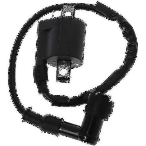 Bobine d'allumage pour quad/scooter/moto tout-terrain 50cc, 150cc, 200cc et 250cc (1/5)