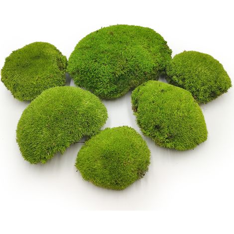 Musgo cojín - Verde claro natural - 0,062 m² (40 x 15 cm) - Suecia