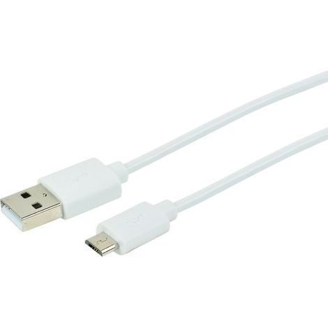 ERARD - 722444 - CORDON USB 2.0 - A M / C M - 3A - blanc - 2m (1/5)