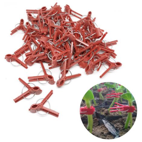 ALLIANDIS100PCS Clips de greffe de plantes Clips de greffe en plastique Clips de plantes de jardin pratiques, (1/4)