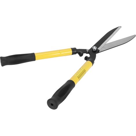Sécateur télescopique pour branches de jardin, cisaille à haie, ciseaux pour arbres fruitiers et fleurs (1/5)
