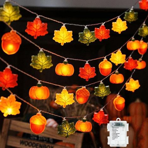 Guirlande Lumineuse LED Halloween,6M 40 LED,8modes avec Minuteur,Alimentée par Batterie,Gland et Feuille d'érable (1/5)