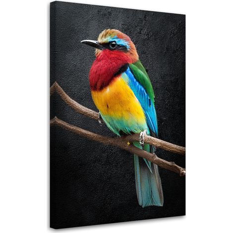 Tableau déco Animaux perroquets colorés 40x60 (1/5)