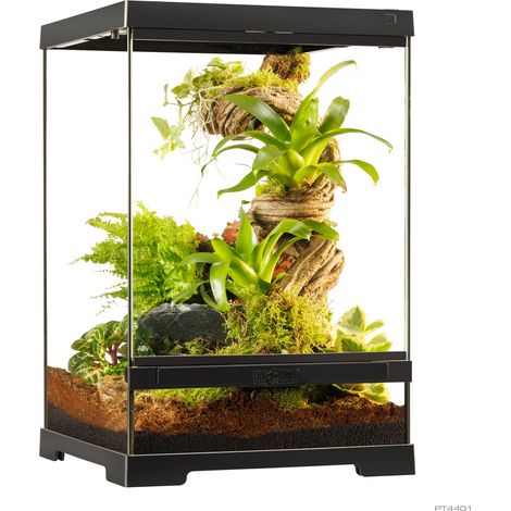 Pro Terrarium de Cristal Exo Terra XS 30x30cm