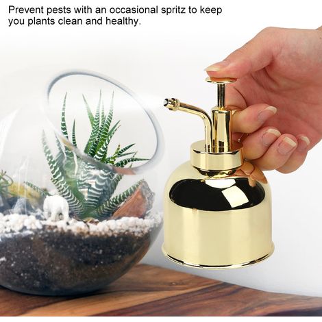 Arrosoir à Pulvérisation Pressurisé en Stainless Steel - Doré - 210g/15cm - Spray Bottle Garden Mist Sprayer 1 Pièce (1/5)