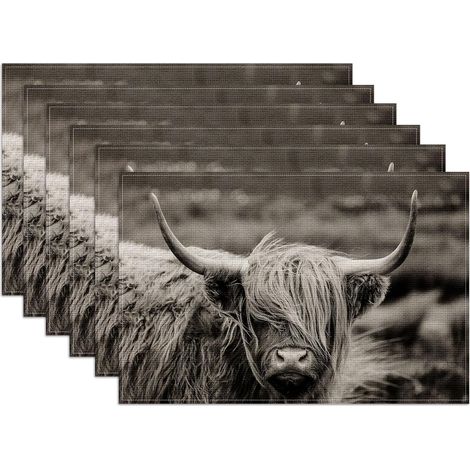 Juego de 6 manteles individuales de poliéster con diseño de vaca de las Tierras Altas, 45 x 30 cm, lavables, resistentes a las manchas, manteles individuales decorativos de estilo rústico para la coci (1/5)