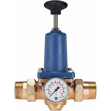 Riegler Druckregler für Trinkwasser, ohne DVGW, R 2, 1,5 - 6 bar (1/4)