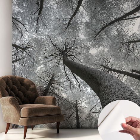 Papier peint adhésif décoratif pour salon chambre et cuisine Facile à poser avec colle Paysage hivernal 250x250 cm (1/5)