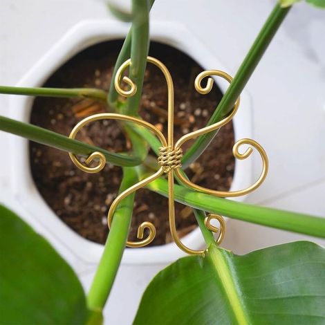 Set of 4 Metal Monstera Plant Supports – Durable stem supports with hooks for healthy growth and easy care of indoor plants (1/4)