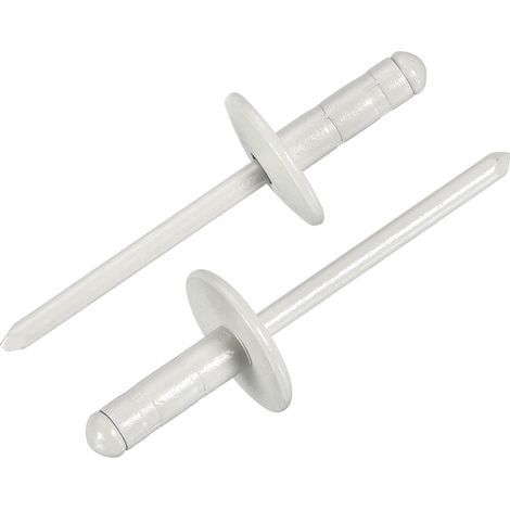 50 Pièces 4.8 x 14 mm Rivets Aveugles En Aluminium Rivets à Empoignade Multiples à Tête Large Avec Mandrin En Acier Pour Métal, Meubles, Automobile, Gris (1/5)